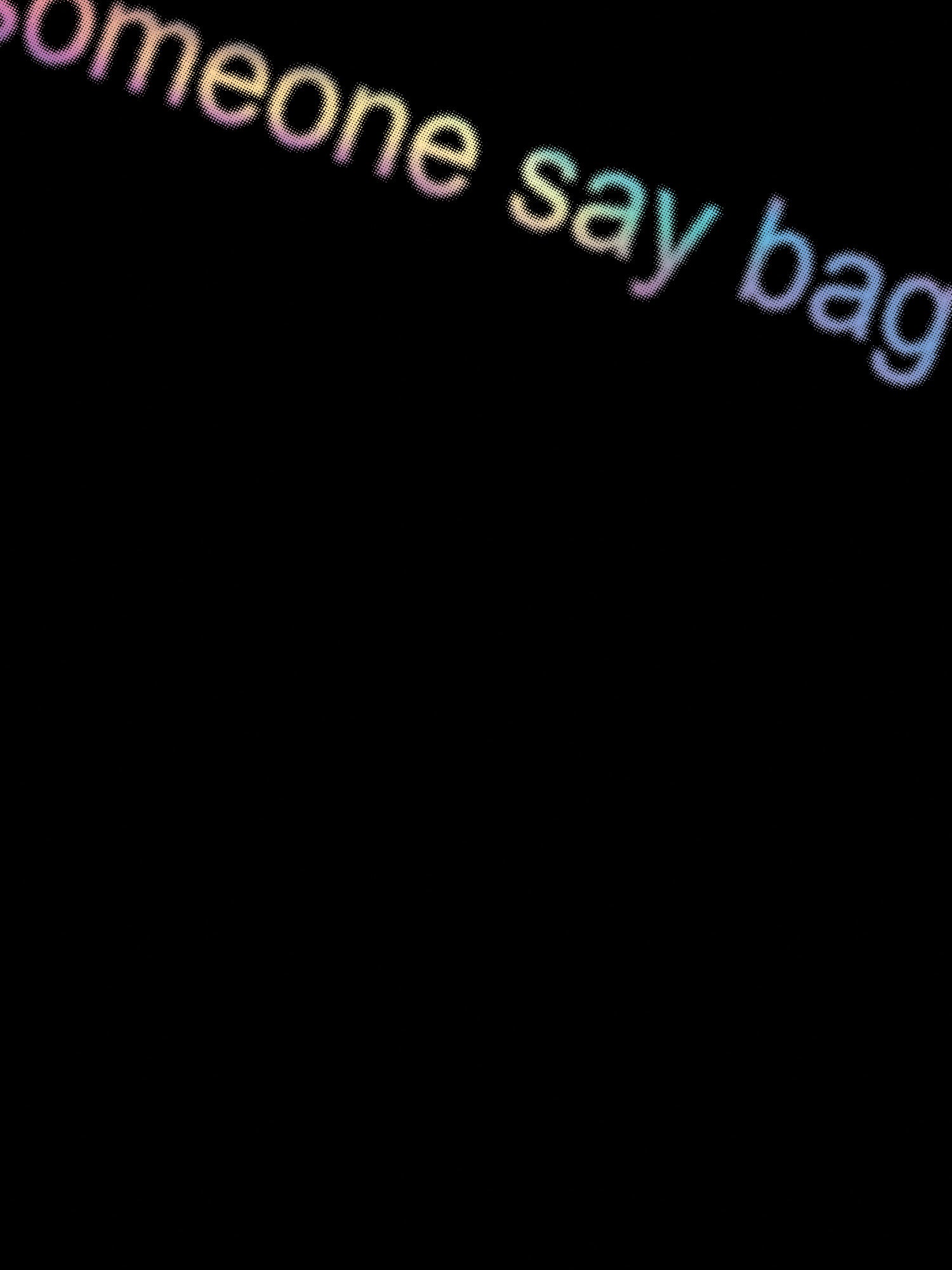 Mandy Anne Ket - Did Someone Say Bag? Hoodie