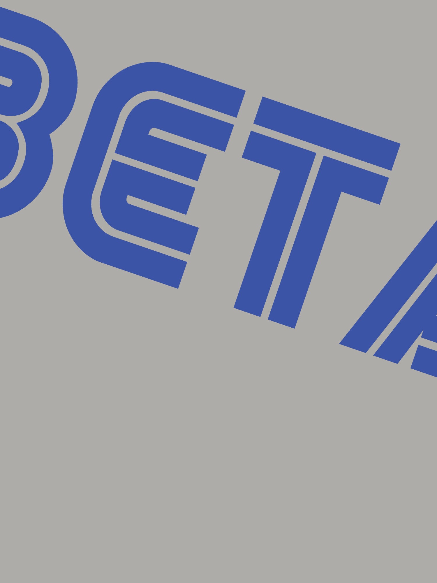 Beta Hoodie