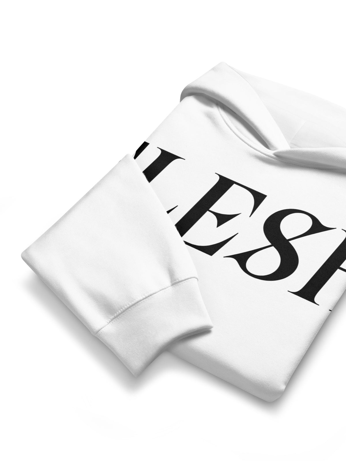 Flesh - Logo Hoodie