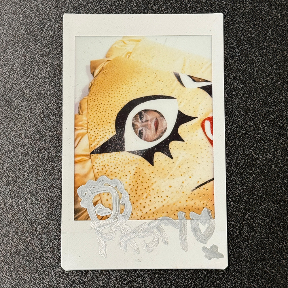 Pasty - Signed Polaroids