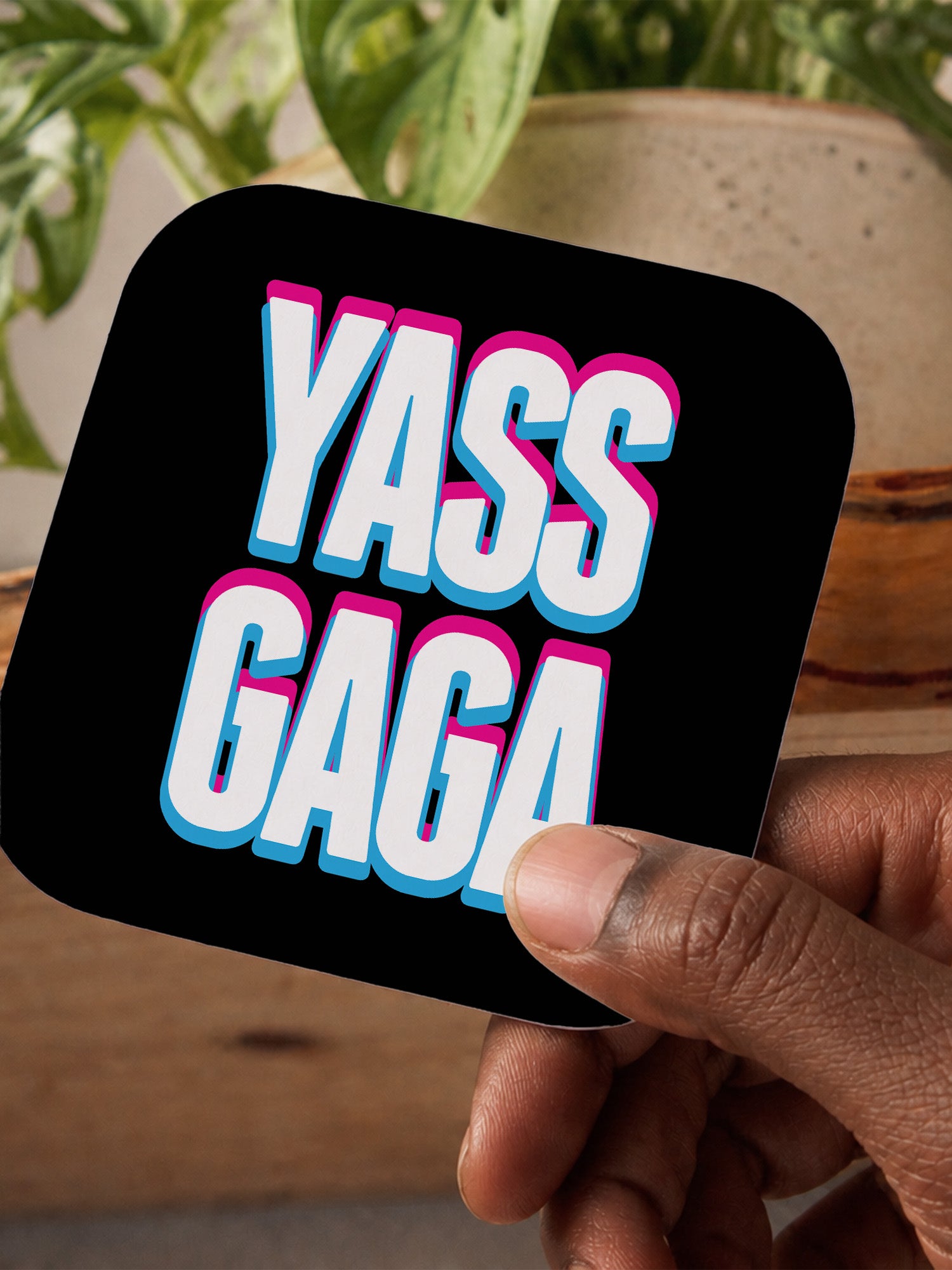 Yass Gaga Coaster