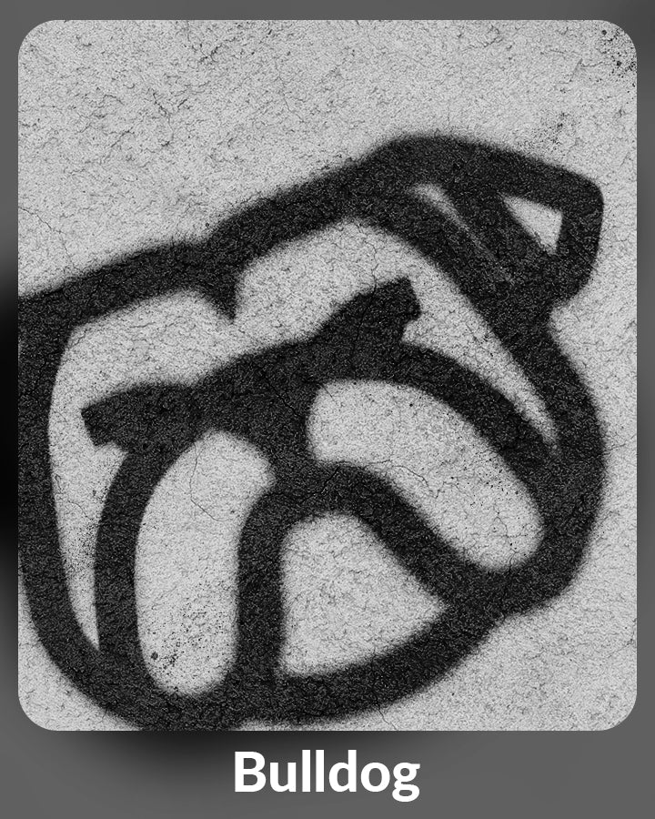 Bulldog