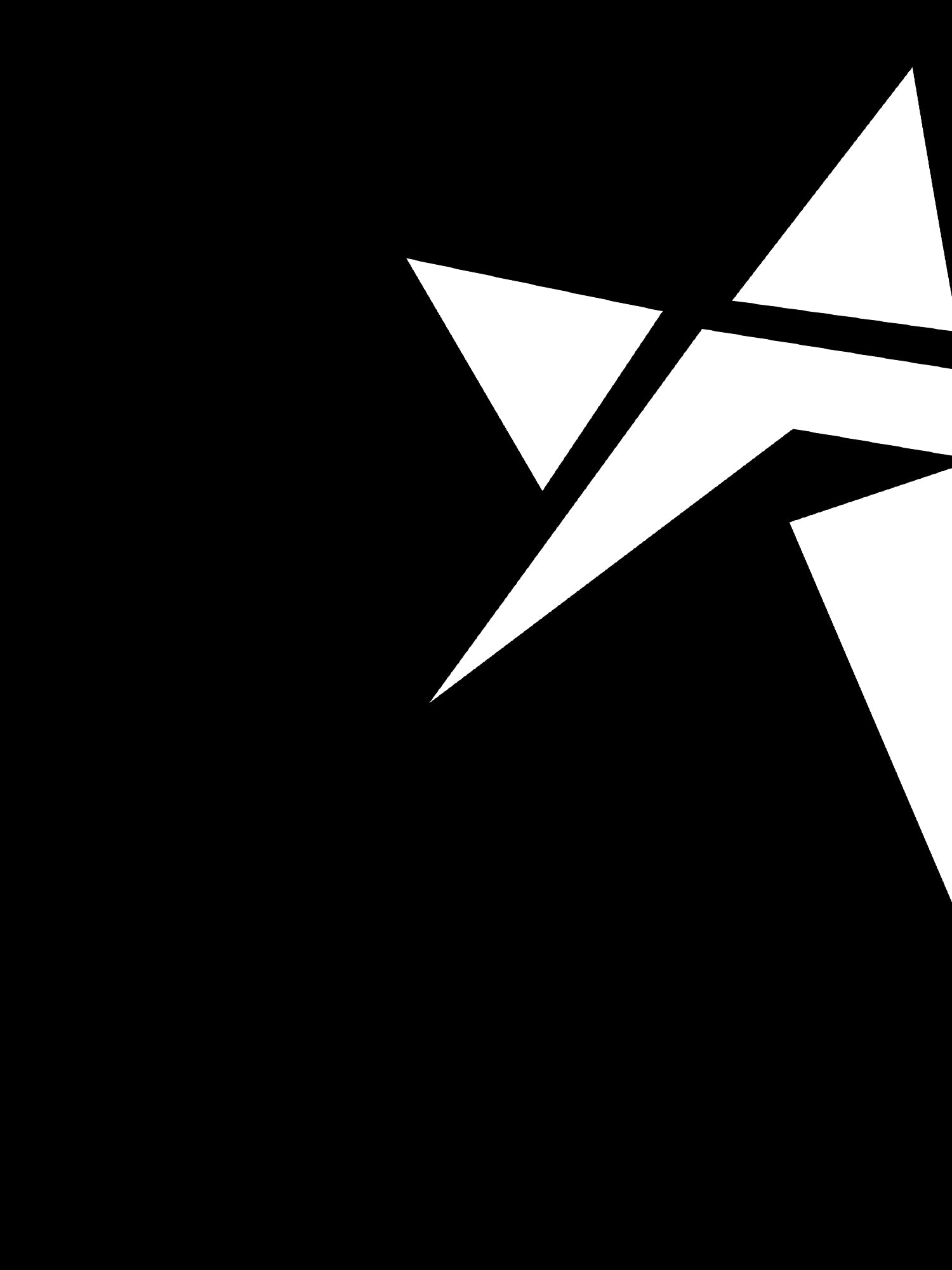 Roxie Star - Star Hoodie