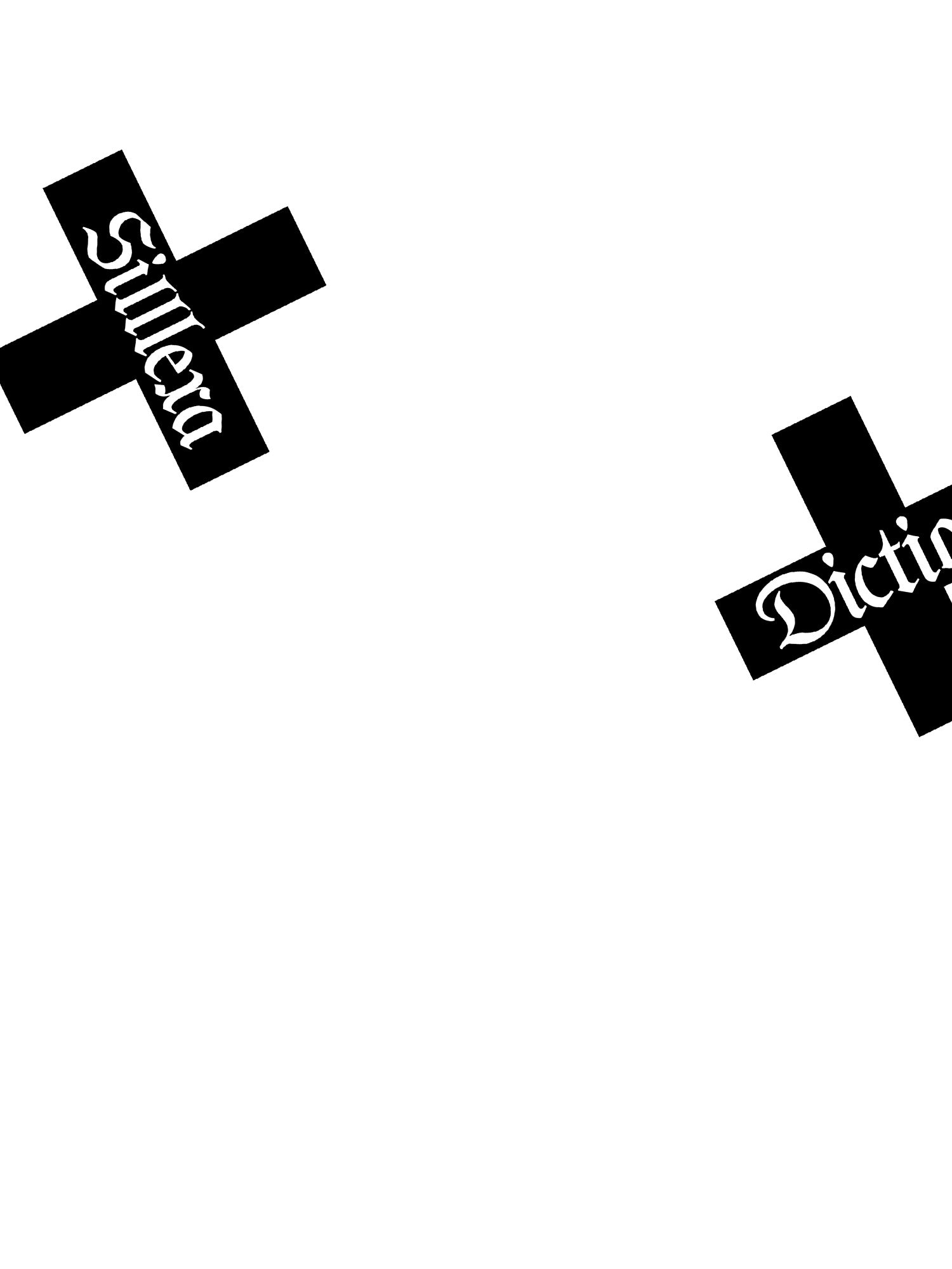 Silllexa Diction - Tape Hoodie