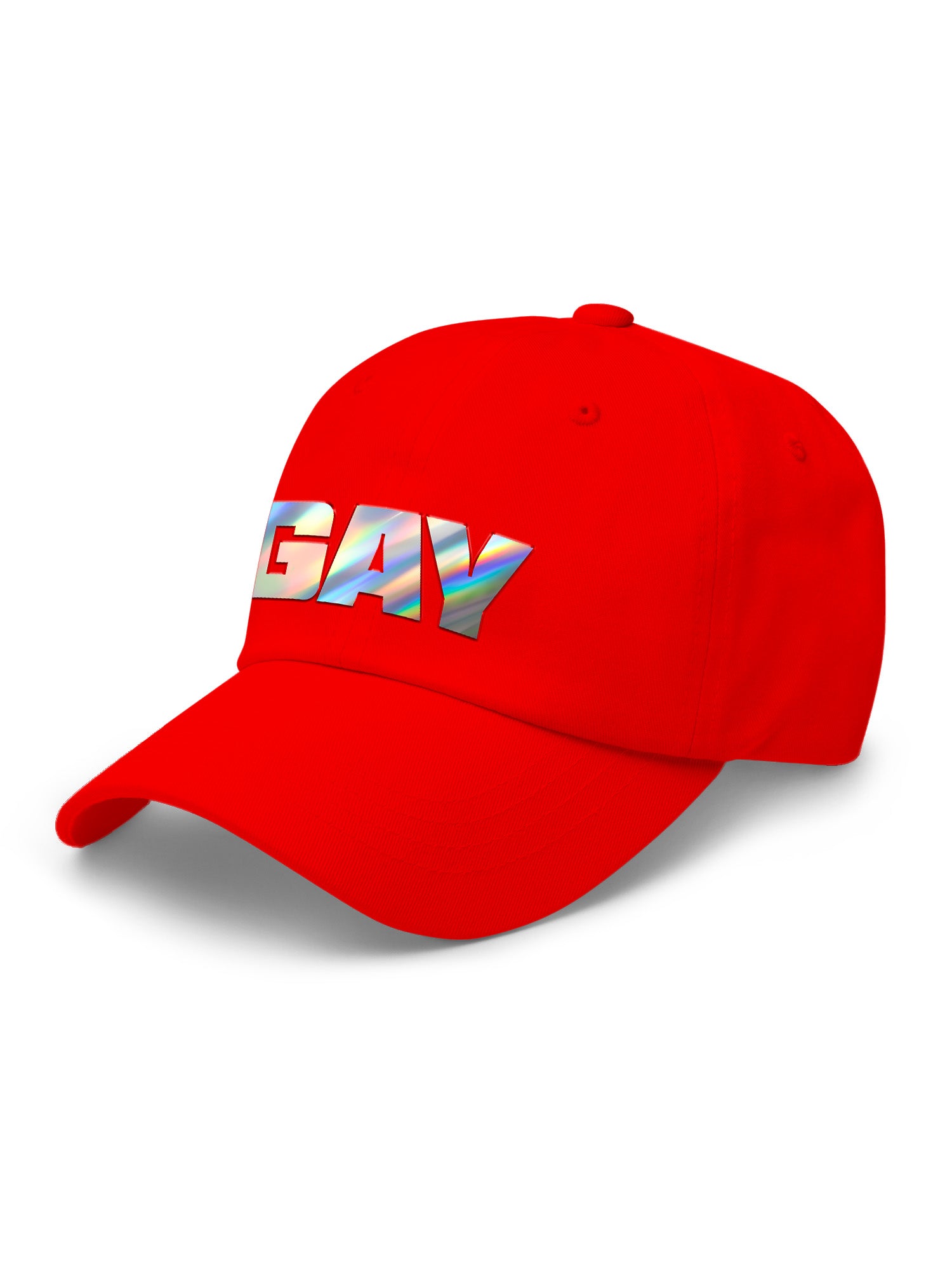 Gay Holographic Dad Hat