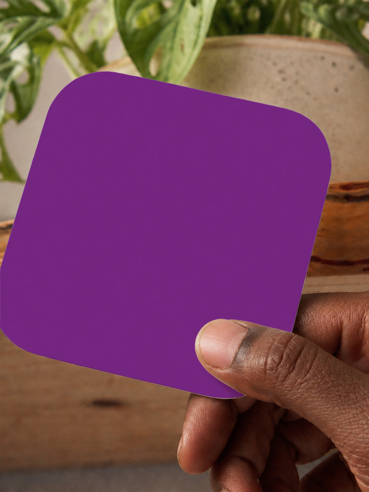 Purple Coaster