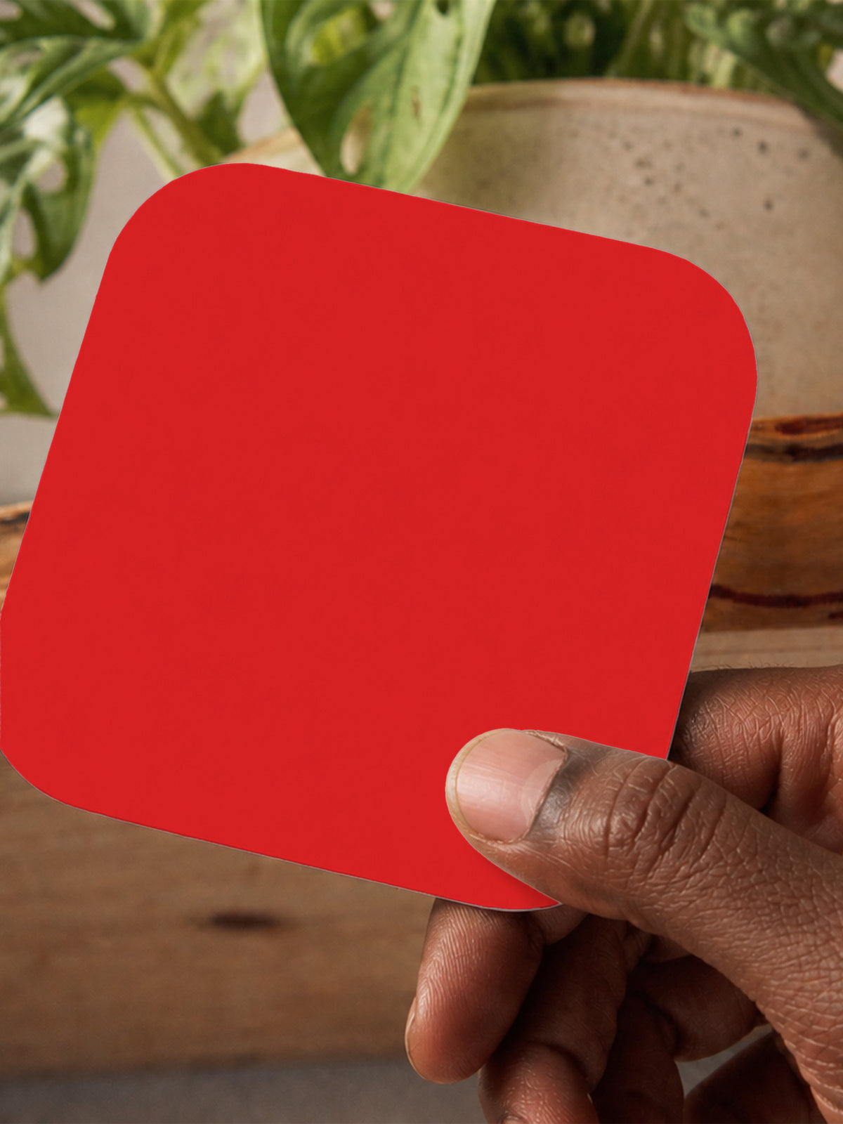 Red Coaster