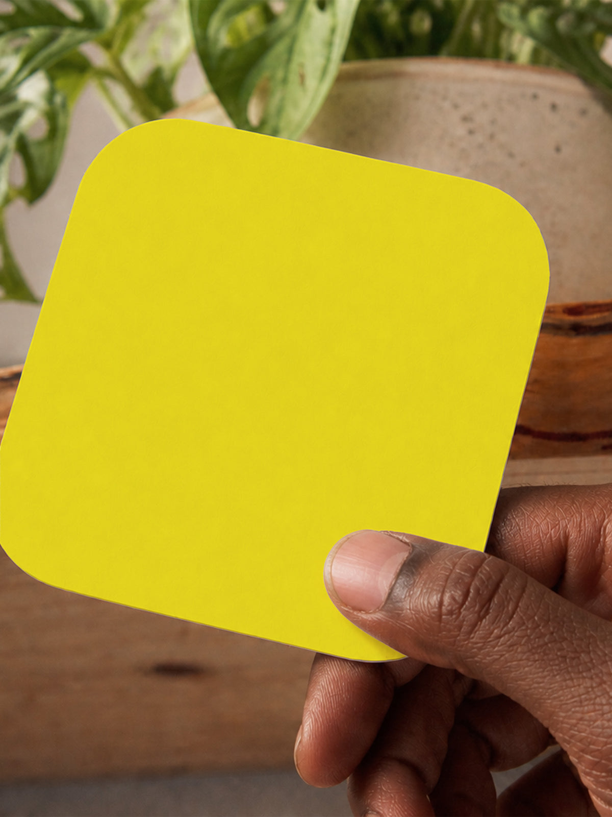 Yellow Coaster