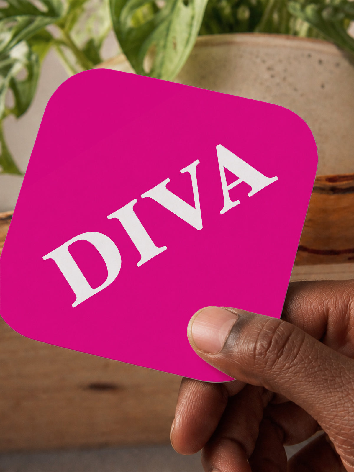 Diva Coaster