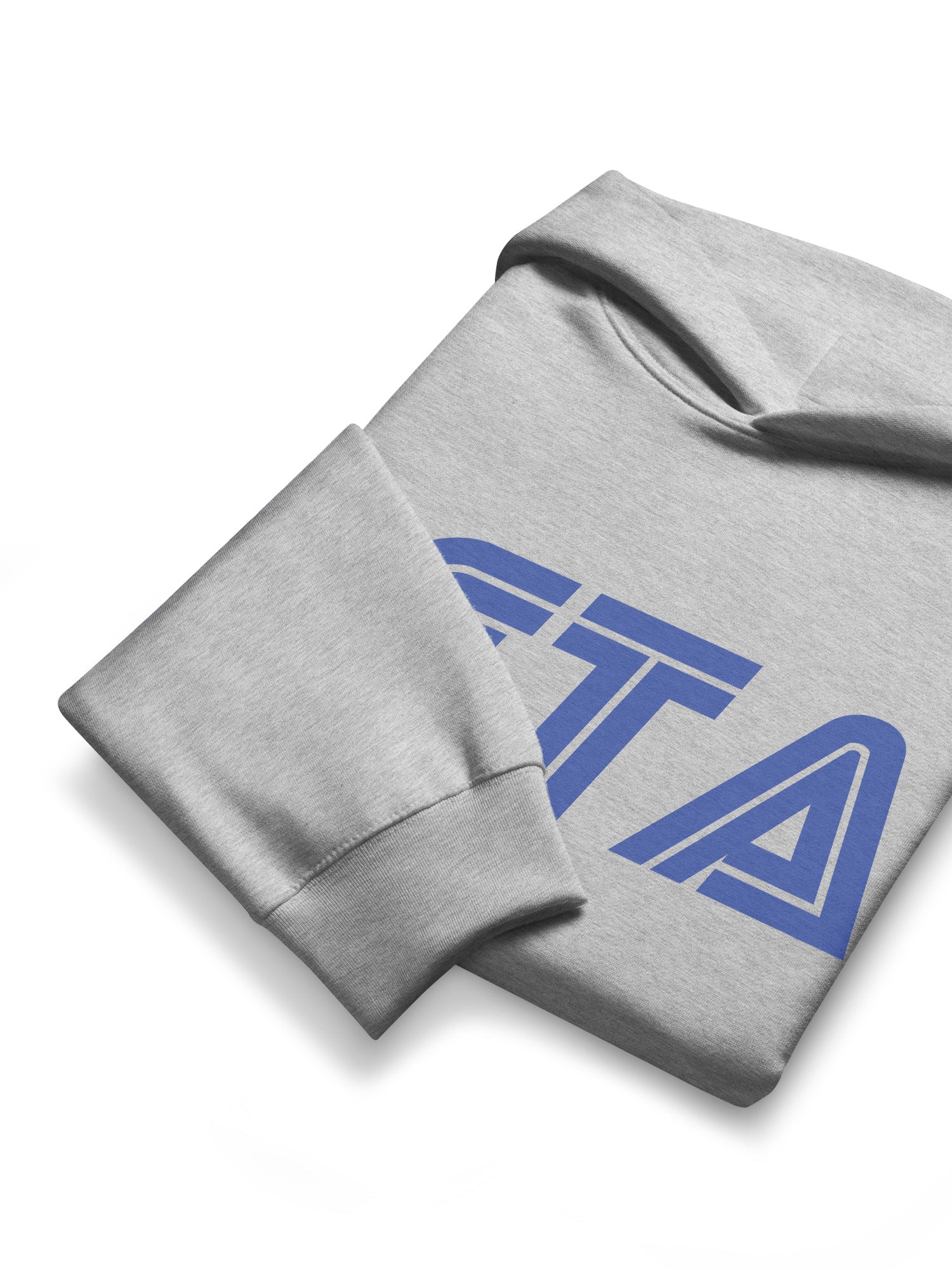 Beta Hoodie