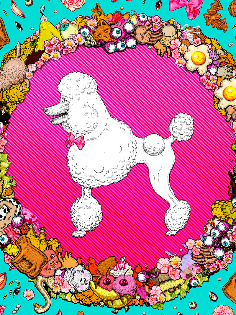 Poodle