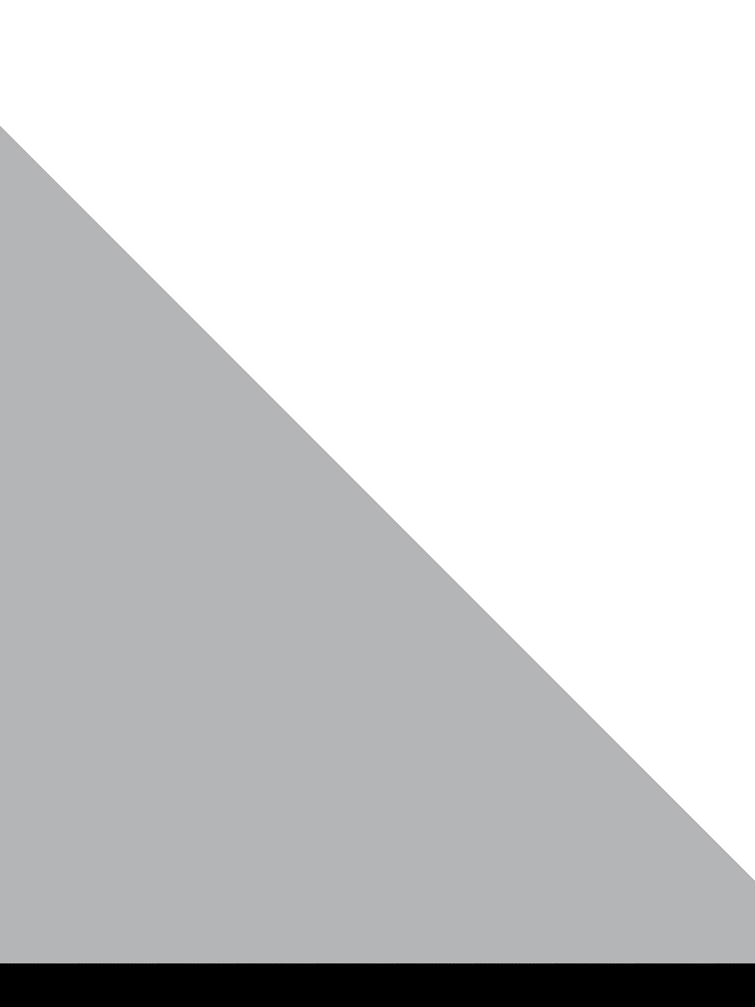 Gray triangle on a white background