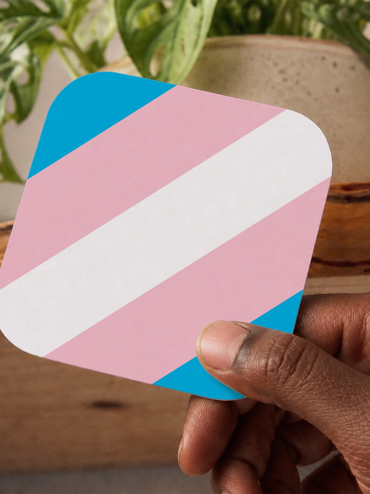 Pride Trans Coaster