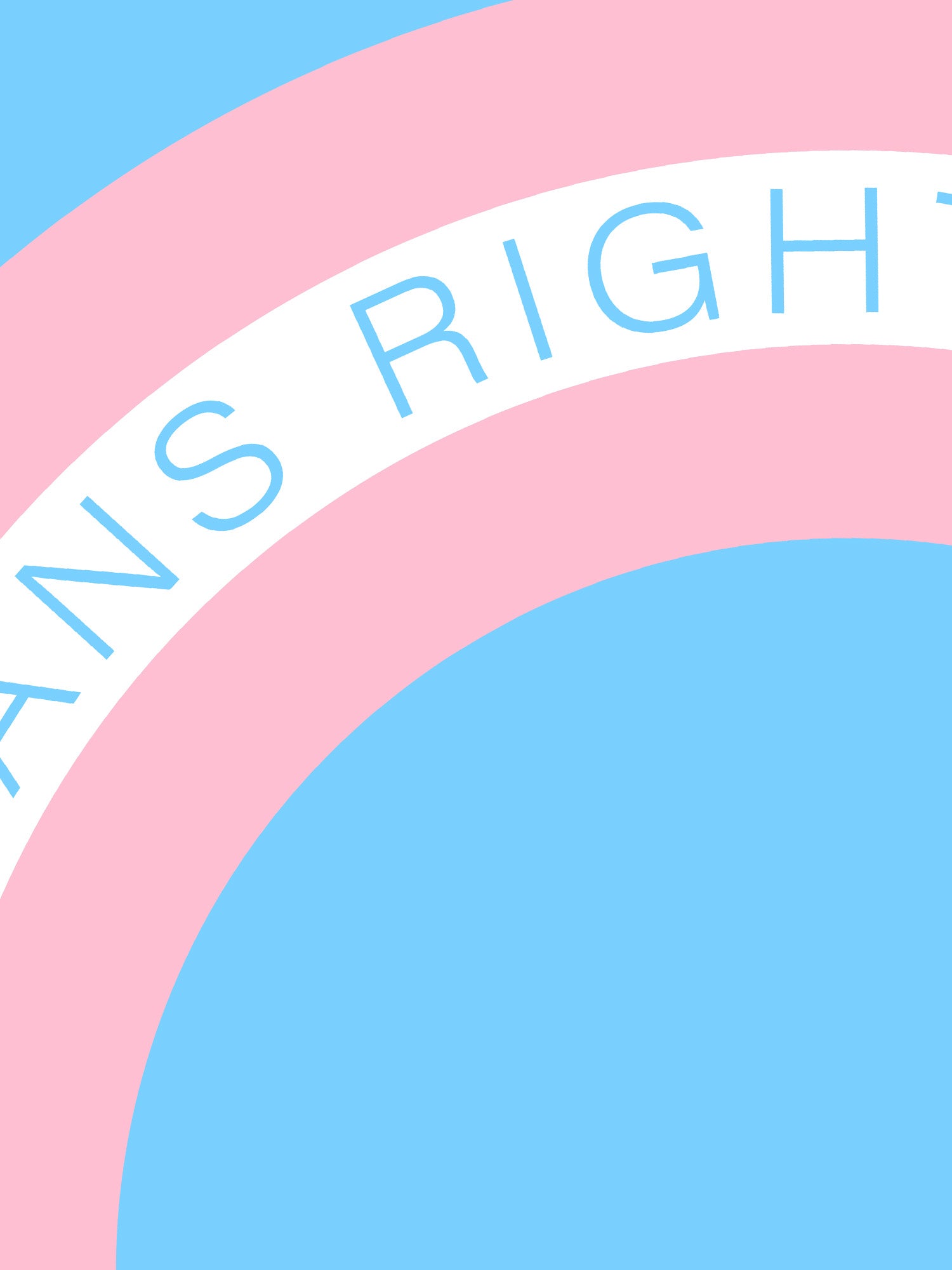 Trans Rights Fan
